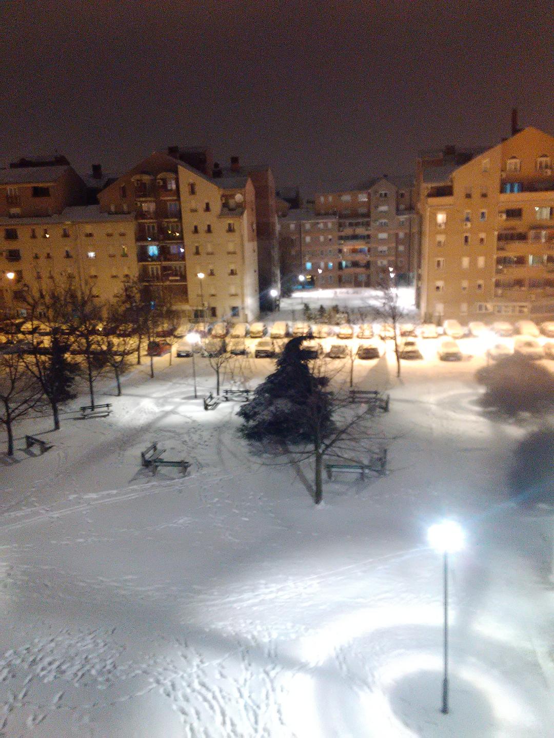 Feniks