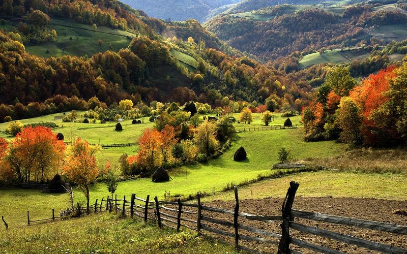 Srbija oaza
